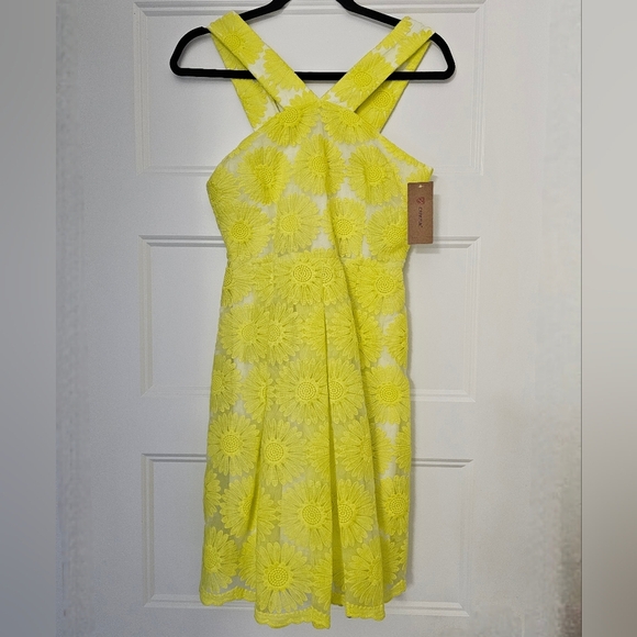 New Daniel Cremieux Women's "Natalie" Daisy Sleeveless Sundress sz 0 NWT - Picture 8 of 8